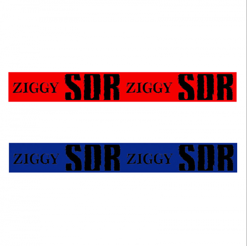 ZIGGY TOUR 2021「SDR」シリコンバンド