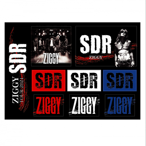 ZIGGY TOUR 2021「SDR」ステッカー